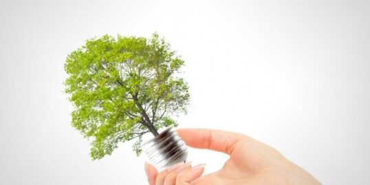 Environmental Sustainability: Why LED Lighting Is a Step in the Right Direction